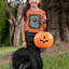 Witches Brew Kids Halloween Tee